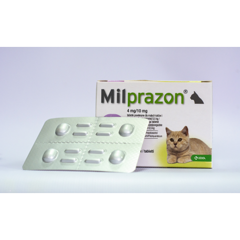 Милпразон 4 мг/10 мг таблетки от глистов для котят и кошек №4 КРКА