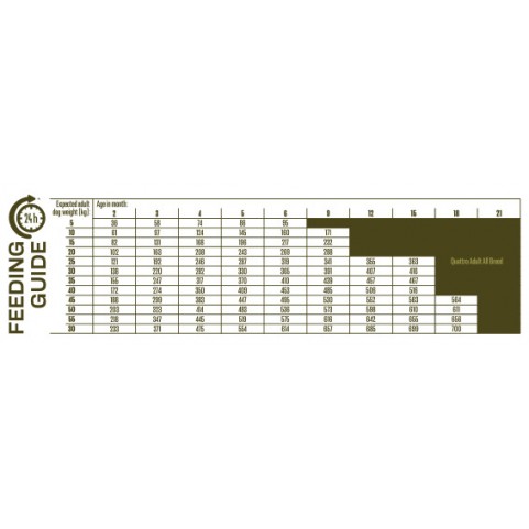 Quattro Junior All Breed Duck беззерновий корм для цуценят усіх порід з качкою 12 кг