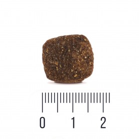 Quattro Adult All Breed Sensitive Lamb беззерновий корм для собак усіх порід з чутливим травленням з ягням 1+0,5 кг