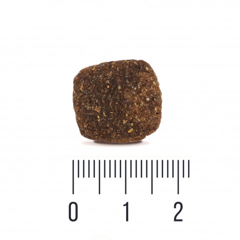 Quattro Adult All Breed Sensitive Lamb беззерновий корм для собак усіх порід з чутливим травленням з ягням 12 кг Quattro Adult All Breed Sensitive Lamb беззерновий корм для собак усіх порід з чутливим травленням з ягням 12 кг