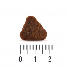 Quattro Adult All Breed Duck беззерновий корм для собак усіх порід з качкою 1+0,5 кг