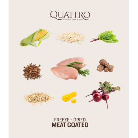Quattro Adult All Breed корм для дорослих собак всіх порід з куркою 12 кг