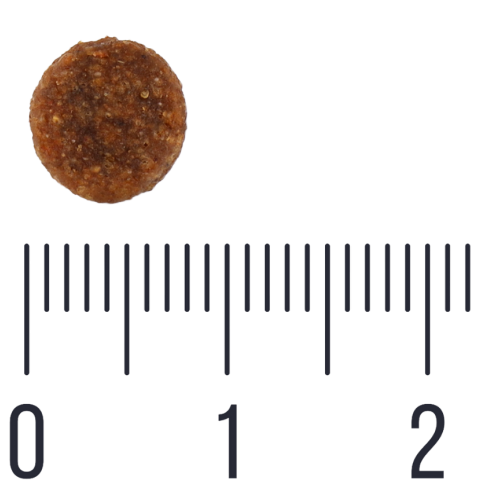 Quattro Junior Duck Small Breed корм для цуценят дрібних порід від 2 до 12 місяців з качкою 7 кг Quattro Junior Duck Small Breed корм для цуценят дрібних порід від 2 до 12 місяців з качкою 7 кг