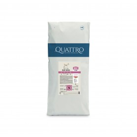 Quattro Adult All Breed корм для дорослих собак усіх порід з ягням 20 кг