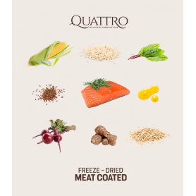 Quattro Adult All Breed корм для дорослих собак всіх порід з лососем 12 кг