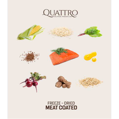 Quattro Adult All Breed корм для дорослих собак всіх порід з лососем 12 кг