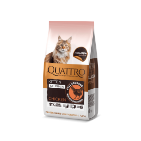 Quattro Cat Kitten Chicken корм для кошенят з куркою 1,5 кг Quattro Cat Kitten Chicken корм для кошенят з куркою 1,5 кг